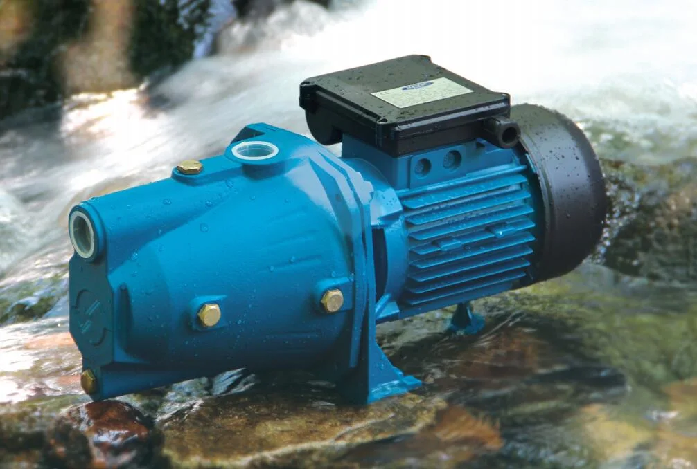 Electric Water Pump Cheap Price Self Priming Jet Domestic for Irrigation 1HP