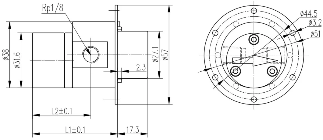 Low Flow Micro DC Brushless Small Water Pump Head M0.60s57