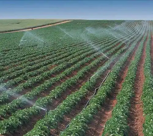 Pop-up Sprinkler with Hedge Nozzle for Irrigation