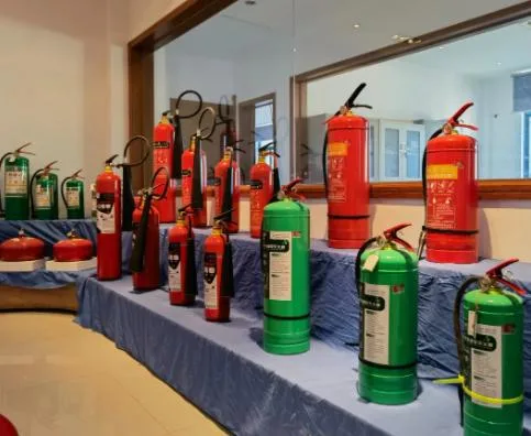 Approved Portable Powderco2 Fire Extinguisher /Fire Security Product/Fire Fighting Equipment with All Certification