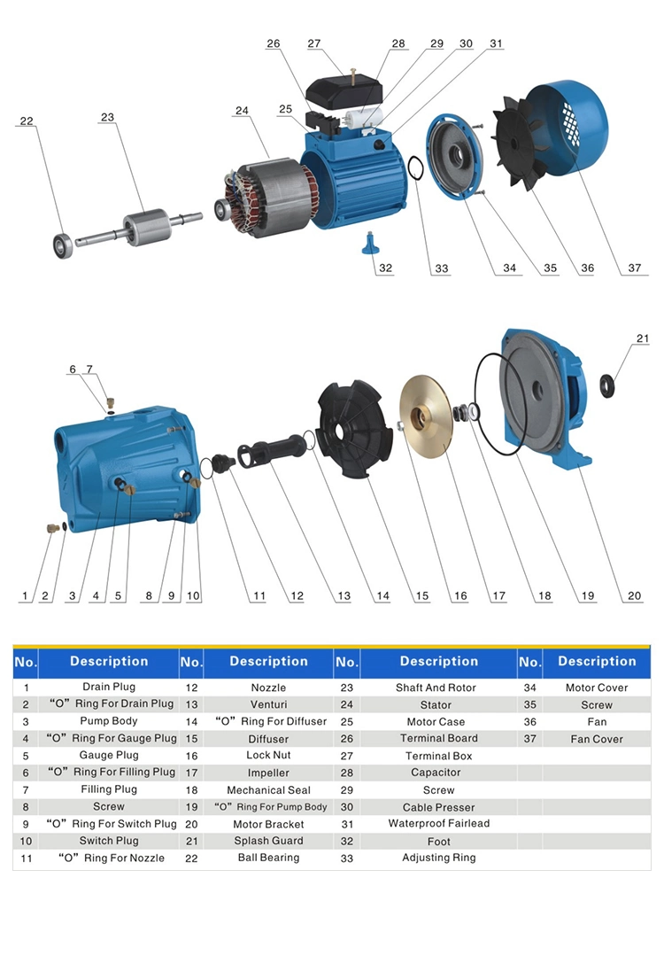 High Efficiency Jsw-10m 0.75HP Jet Pump Irrigation Garden Water Pump