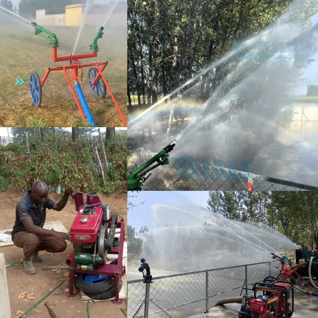 Automatic Mobile Agricultural Sprinkler Hose Reel Irrigation System Used in Large Farm