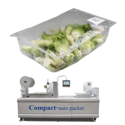 Compact Multifunction Bakery Bread Modified Atmosphere Packaging Machine for Small Startup Plant