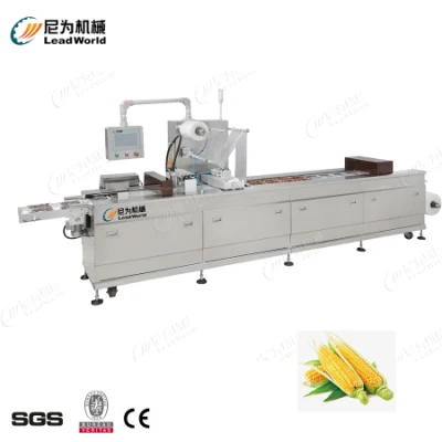  Automatic Vacuum Packing Machine for Fruit, Vegetable, Sausage and Chicken Meat