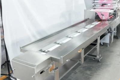 Pizza Bread Frozen Dumplings Noondles Buns Muffin Hamburger Cake Bakery Food Automatic Flow Pack Packing Package Packaging Machine