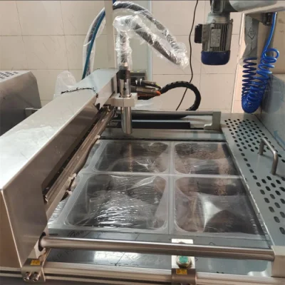 Salmon Fillet Skin Packing Line Frozen Fish Vacuum Thermoforming Packaging Machine