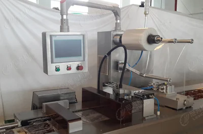  China Factory Automatic Meat Sea Food Fish Shrimp Thermoforming Vacuum Skin Packaging Machine