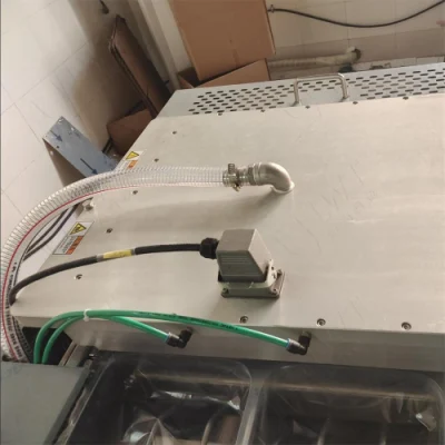 Salmon Fillet Skin Packing Line Frozen Fish Vacuum Thermoforming Packaging Machine