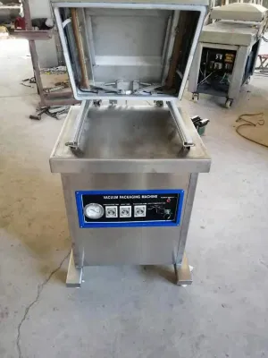 Food Factory Full Automatic Vacuum Packaging Machine/Seafood Sealer Packaging Vacuum Wrapping Machine