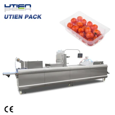 Automatic Thermoforming Vacuum Map Packing Machinery for Fruit
