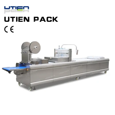 Cheddar Cheese Thermoforming Packaging Machine Dzl-420r Food Vacuum Packing Machinery