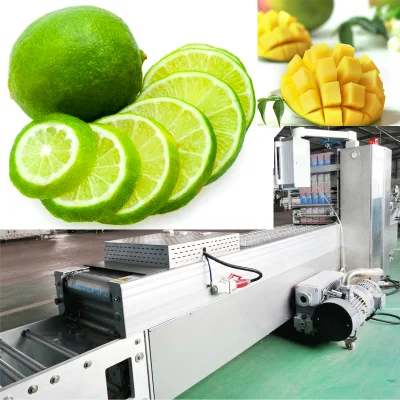 Vacuum Map Vegetable Packaging Machine