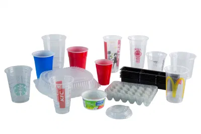 Automatic Multi-Station Thermoforming Machine for Lunch Packing /Egg/Tray Container