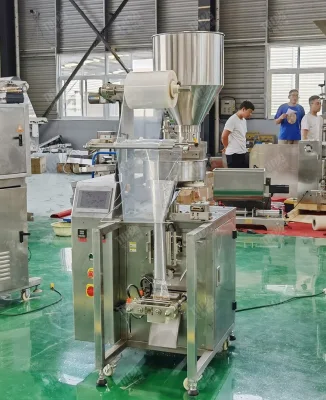 Stainless Steel 5 Kg Rice Packing Machine Pet Wet Food Packing Machine