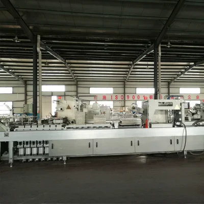 Vacuum Map Vegetable Fruits Packaging Machine