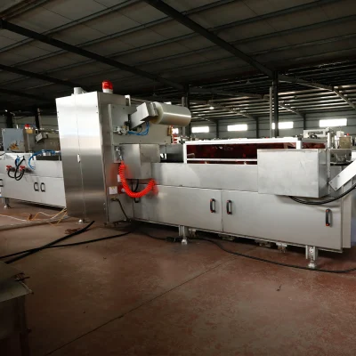 Vacuum Map Vegetable Fruits Packaging Machine