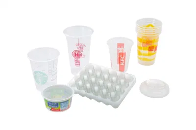 Automatic Multi-Station Thermoforming Machine for Lunch Packing /Egg/Tray Container