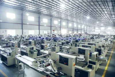 Individual Small Cookies Crackers Biscuit Packaging Packing Machine for Cookies