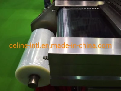 Thermoforming Vacuum Skin Packaging Machine / Automatic Skin Packing Machine