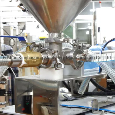 5g Wasabi Salad Paste Sauce Sachet Automatic Weighing Form Fill Seal Wrapping Flow Packaging Packing Filling Sealing Machine
