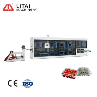 New Automatic Forming Machine for Making Plastic Fruit Fast Food Cake Pack Production Box Conditioner Pizza Box with Cutting