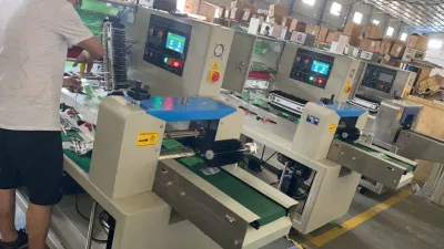 Burger Bun Biscuit/Wafer/Cookie/Sliced Bread/Moon Cake/Bun Small Food Automatic Multi-Function Horizontal Flow Pillow Pack Packing Packaging Wrapping Machine