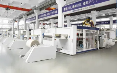 Automatic Multi-Station Thermoforming Machine for Lunch Packing /Egg/Tray Container