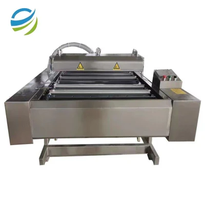  304 Stainless Steel Rolling/Continuous/Conveyor Vacuum Packing/Packaging/Wrapping Machine for Sausage/Sausages/Fresh Fish