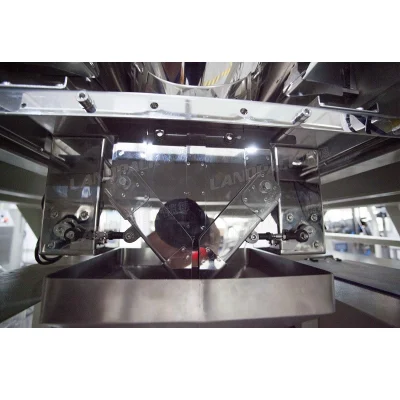 Landpack Ld-420A Automatic Food Figs Seafood Couscous Packaging Packing Machinery Machine