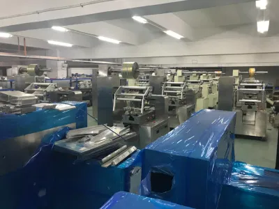 Crossaint Packaging Machine Bread Cookie Stainless Steel Equipment Packing Machine for Small Business