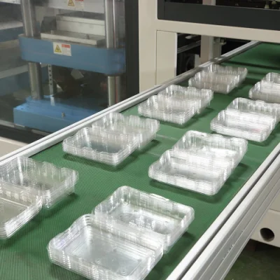 New Upgrade Food Grade Pizza Food Plastic Box Packaging Box Making Machine with Fully Automatic