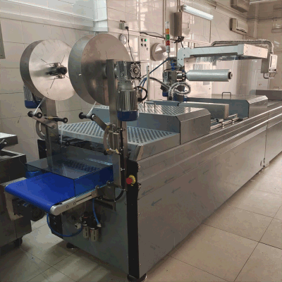 Automatic Continuous Fish Meat Durian Nuts Sweet Corn Thermoform Vacuum Packing Machine