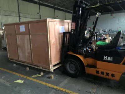 High Quality Automatic Wrapping Machine for Leafy Vegetable Lettuce Fruit