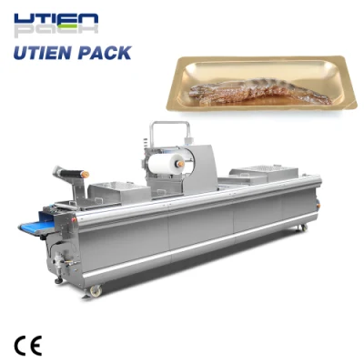  Dzl-420vsp Thermoforming Vacuum Skin Packaging Machine with High Output for Sale