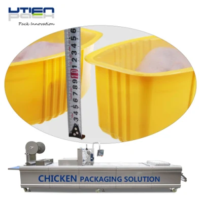  Modified Atmosphere Prepared Chicken Breast Leg Meat Vacuum Packaging Machine Equipment