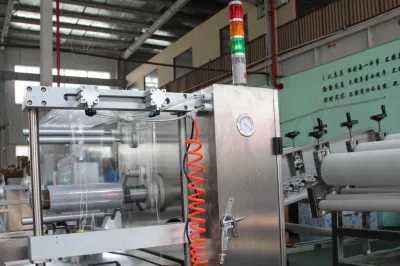 Bakery Bread Vacuum Packing Machines Turkey Thermoform Vacuum and Modified Atmosphere Packaging Machine