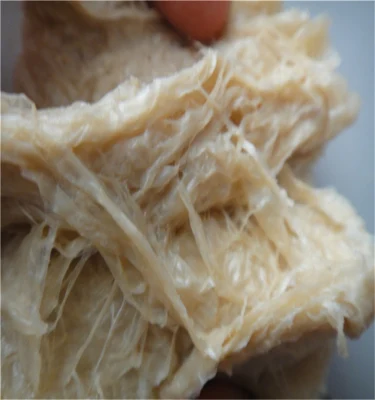 Soya Meal and Protein Food Extruder Machinery with Packing Machine