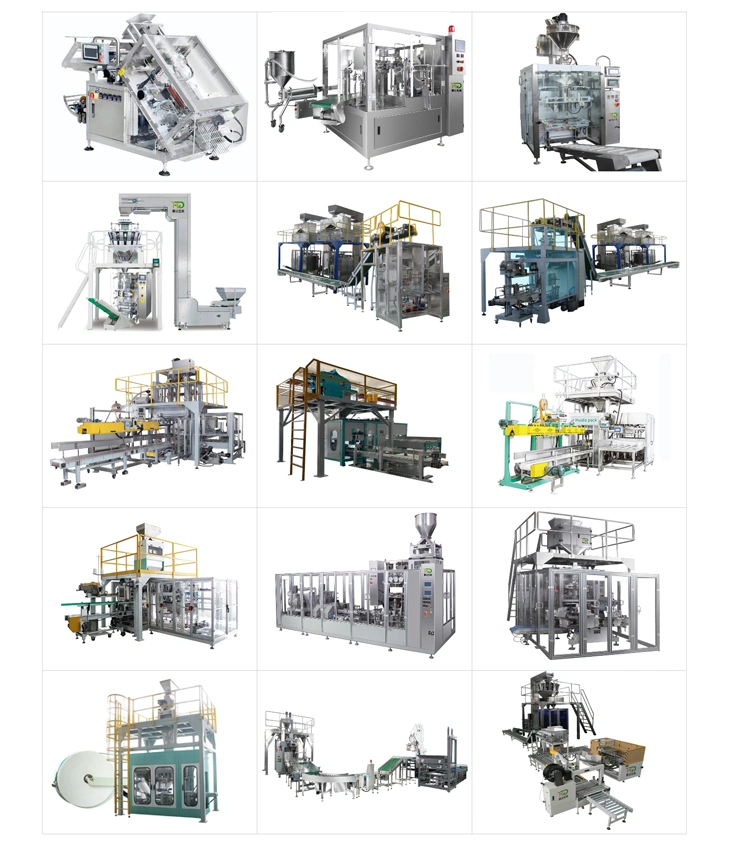 Medicinal Powder Automatic Vacuum Packaging Machine Pharmaceutical Packaging Pouches Packing Machinery Equipment