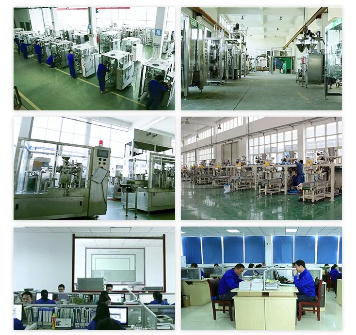 Medicinal Powder Automatic Vacuum Packaging Machine Pharmaceutical Packaging Pouches Packing Machinery Equipment
