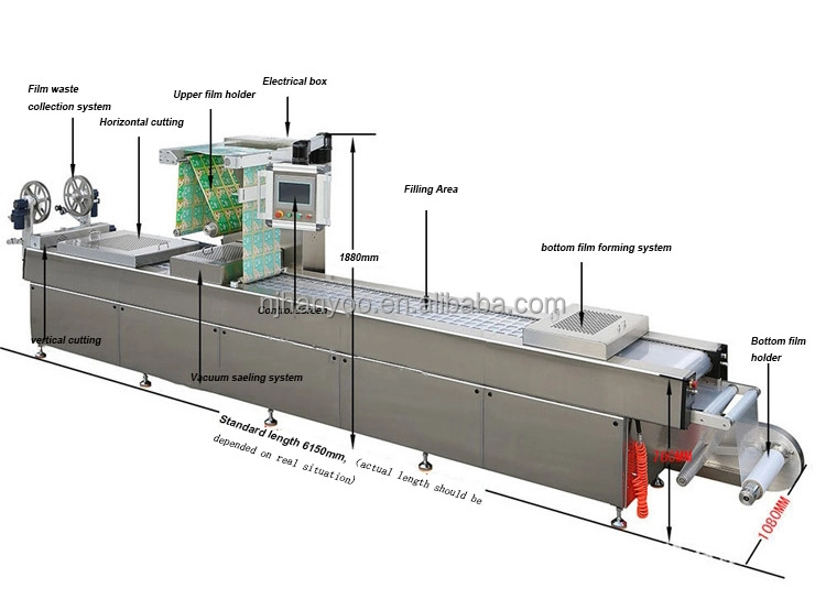 Dps-320/420/520 Thermoforming Vacuum Packing Packaging Machine for Jam Map Automatic Vacuum Skin Pack Machine