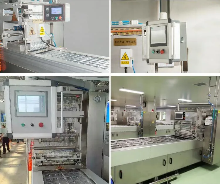 Cheese Seafood Vacuum Thermoforming Packing Machine Sausage Chicken Meat Packaging Machinery