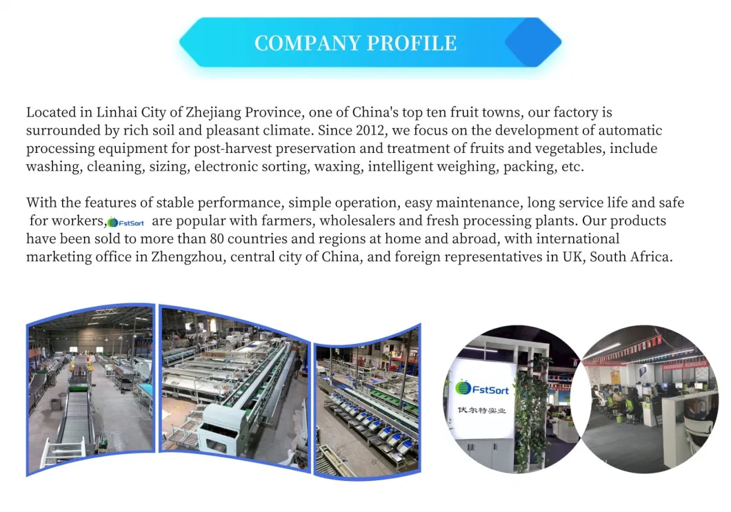 Onion Sorting Machine Efficient Citrus Fruit Handling and Packaging Fruit Post-Harvest Processing Technology