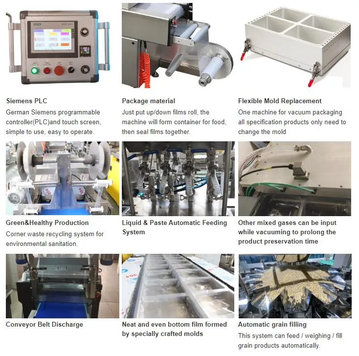 Bakery Bread Vacuum Packing Machines Turkey Thermoform Vacuum and Modified Atmosphere Packaging Machine