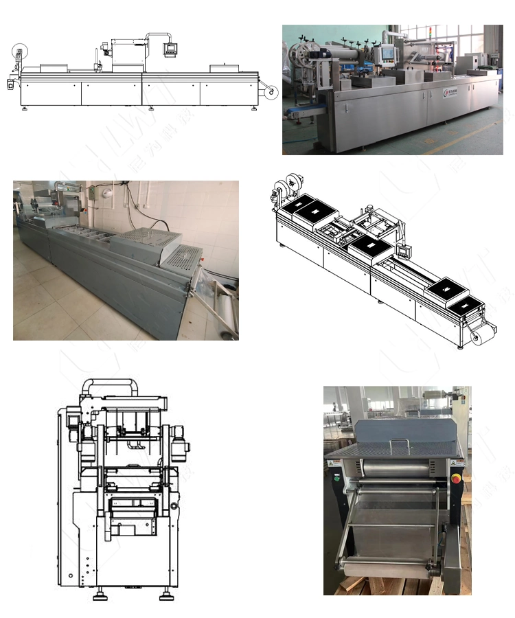 Automatic Thermoforming Skin Packaging Machine for Food Fish Meat Thermo Pack