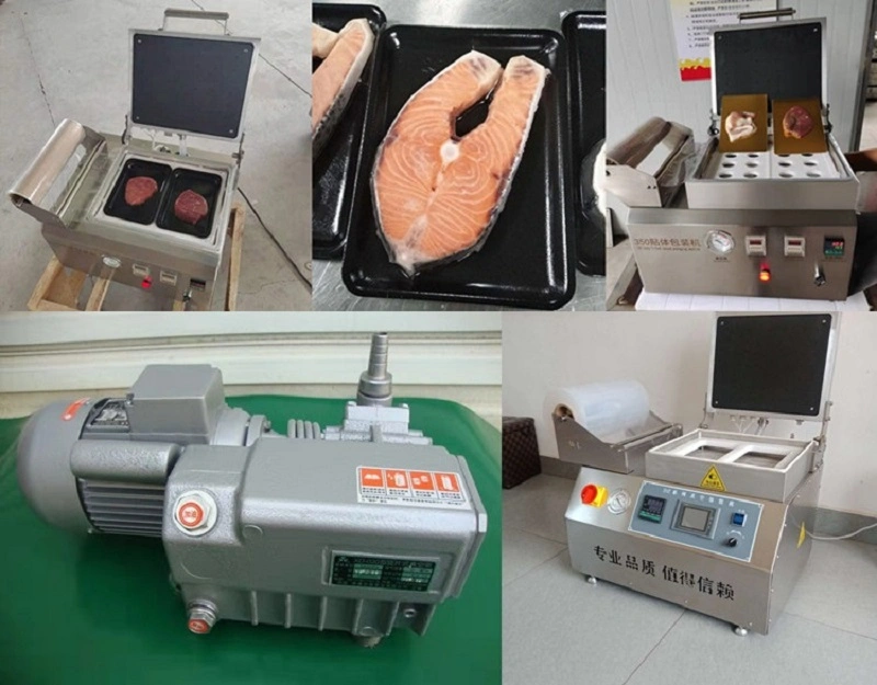 Commercial Vacuum Food Packing Machine Skin Package Vacuum Sealing Machine