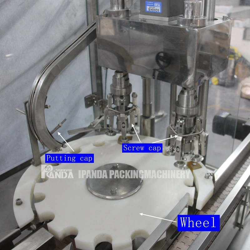 Curry/Detergent/Washing Powder Bottle/Jar/Can/Tin Filling Packing Packaging Machine