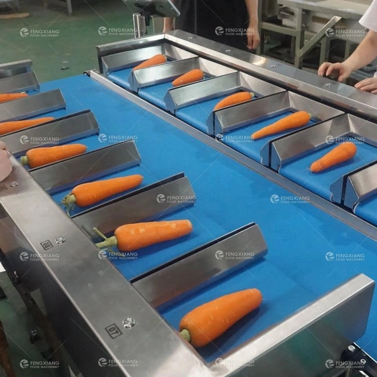 Vegetable Fruit Orange Lettuce Carrot Cucumber Weighting Flow Wrapping Shrink Packing Machine