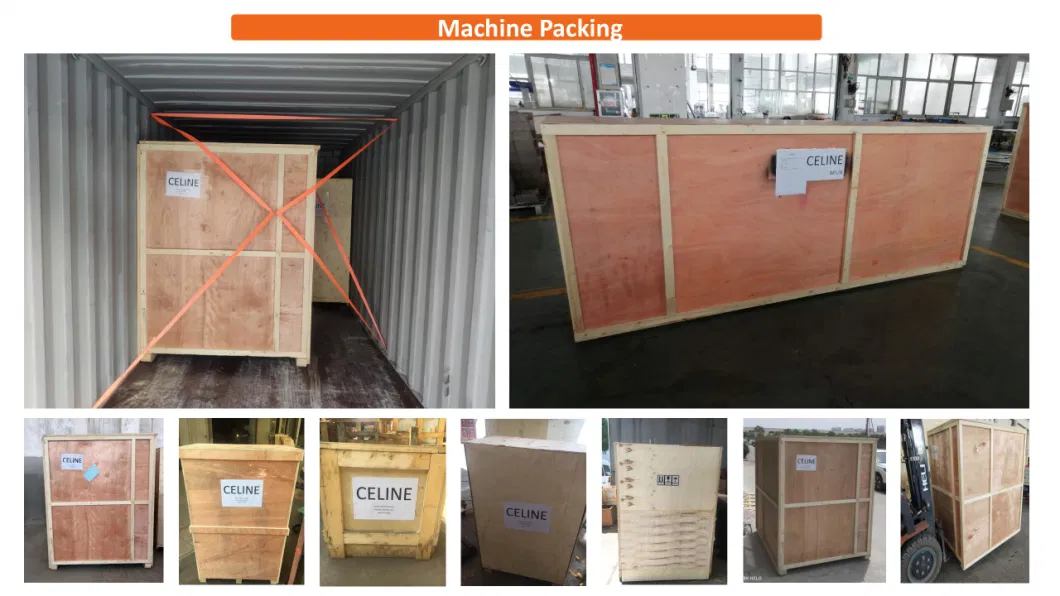 Automatic Brick Shape Container Thermoforming Machine Meat Modified Atmosphere Packaging