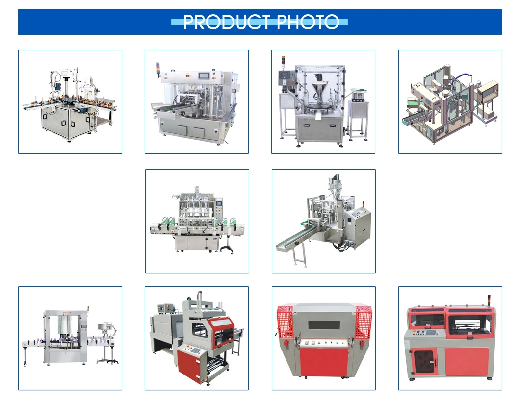 4 Side Seal Sachet Beef Jerky Packing/Packaging Machine Machinery (PM-320F2)