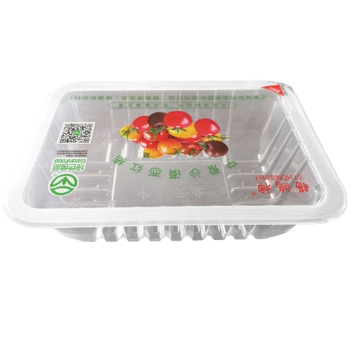 Stretch Film Thermoformer Vacuum Tray Packaging Machine for Food/Fruit/Vegetable/Meat/Mutton/Beef/Fish/Chicken/Juice/Soup